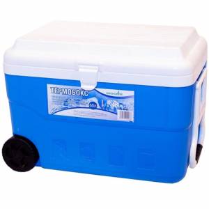 Термоконтейнер Green Glade С22600 60л голубой